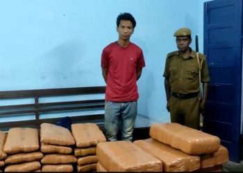 Driver arrested with the lorry carrying cannabis