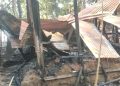11 cows and three goats were burnt