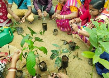 Mega Skill Development Training On Nursery Project Initiated.  