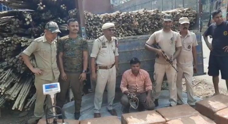 One arrested with dried cannabis