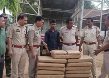 Cannabis seized during smuggling in the state