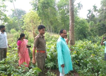 Dilip Vardhan went to see the agar garden of the beneficiaries of Algapur village of Dharmanagar