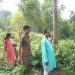 Dilip Vardhan went to see the agar garden of the beneficiaries of Algapur village of Dharmanagar