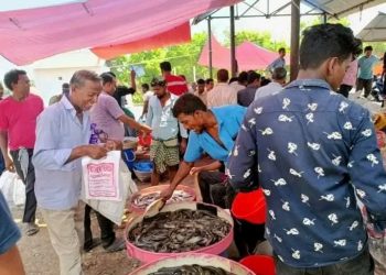 Border Hut will be open on Tuesday from 10 am to 4 pm.