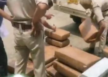 The smuggler did not escape while smuggling ganja in a novel way.