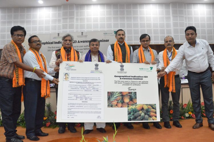Drone technology introduced in agriculture sector: Ratan