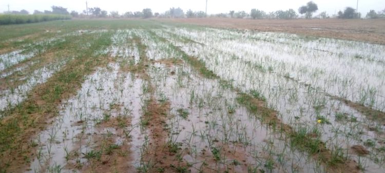 The rain brought temporary relief in the sweltering heat