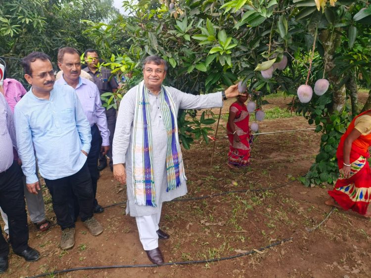 Tripura is eyeing mango production, exhibition of various fruits in the state with buyers from all over the country June 27: Agriculture Minister