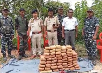 60 kg dried cannabis seized