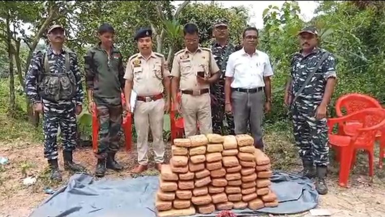 60 kg dried cannabis seized