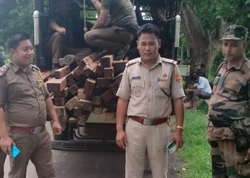 Forest Officials Seized Illegal Wood.           