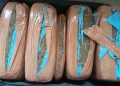 Dried cannabis seized