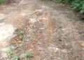 Road Woes Hit Severely To Reang Villagers In Rambhadra Para. 