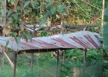 School Children Study On Villager House Varandah.