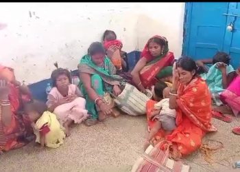 Dried cannabis: 13 arrested, including women and children