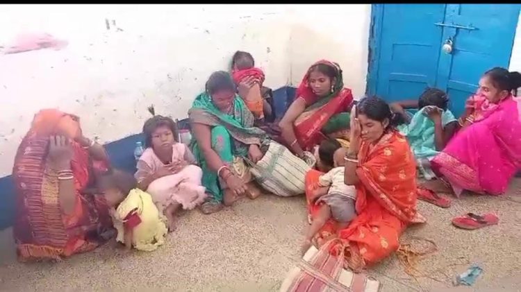 Dried cannabis: 13 arrested, including women and children