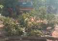 On Demand Of Road Renovation Public  Staged Blockade.