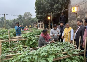 Tripura to be self-sufficient in potato seed production in next five years: Agriculture Minister