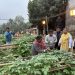 Tripura to be self-sufficient in potato seed production in next five years: Agriculture Minister