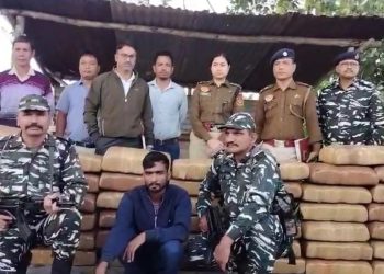 570 kg of dry cannabis seized: one arrested