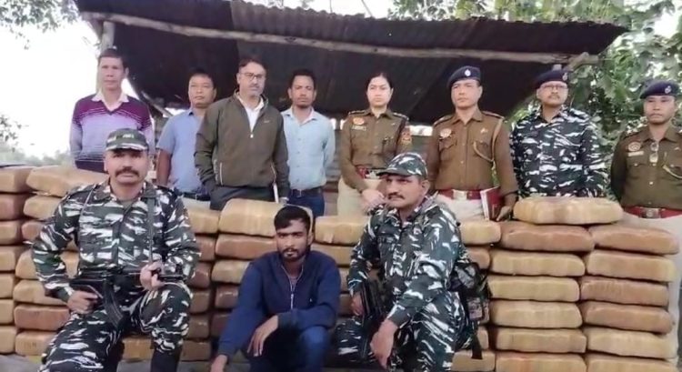 570 kg of dry cannabis seized: one arrested