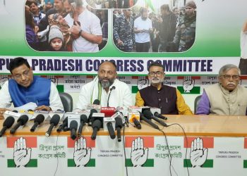 Congress Spokesperson Highlights Concerns Ahead of Lok Sabha Elections