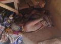 Incident of Elder Abuse Sparks Outrage in Kanchanmala Area