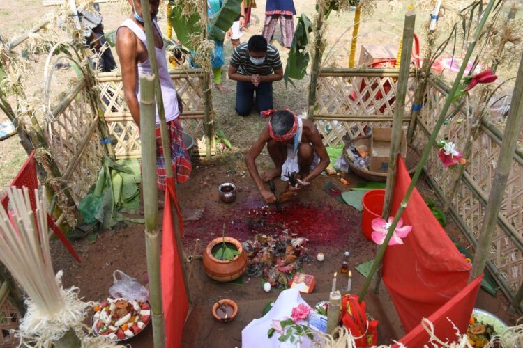 The Vibrant Celebration of Garia Puja in Tripua by Tripuries : A Story of Tradition and Devotion.