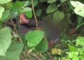 Shocking Murder of a Young Man in Suryamaninagar
