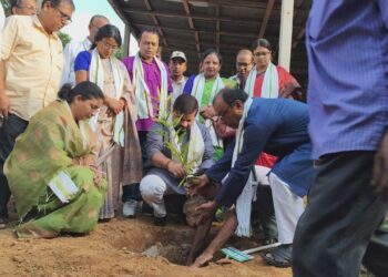 Bank Initiates Tree Plantation Campaign as Part of World Environment Day.