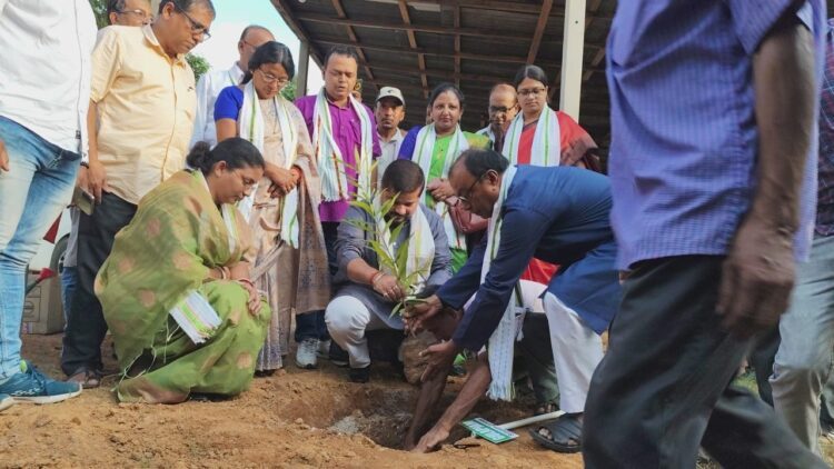 Bank Initiates Tree Plantation Campaign as Part of World Environment Day.