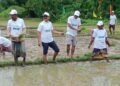 Innovative Paddy Transplanting Campaign in Jampuejola Under MICMP