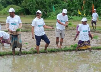 Innovative Paddy Transplanting Campaign in Jampuejola Under MICMP