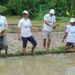 Innovative Paddy Transplanting Campaign in Jampuejola Under MICMP
