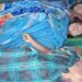 Landslide Claims Three Lives