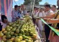 State-Level Orange Festival Held in Killa, Bagmara