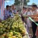 State-Level Orange Festival Held in Killa, Bagmara