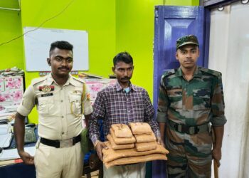 Dry Cannabis seized : one arrested