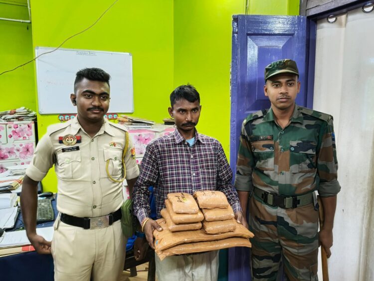 Dry Cannabis seized : one arrested