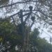 Workers installing electric lines with high risk