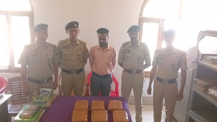 Young Man Detained for Alleged Cannabis Smuggling at Udaipur Station