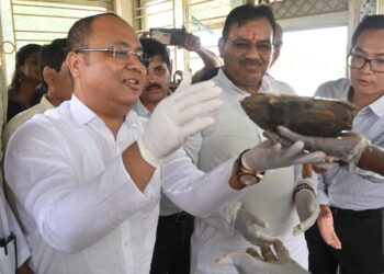 Tripura Observes World Turtle Day for the First Time, Highlights Conservation Efforts