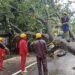 Torrential Rains Continue to Batter Tripura; 93 Houses Damaged, Relief Camps Opened