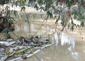 Decomposed Body Recovered from Bangeshwar River, Investigation Underway