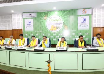 Tripura Launches ₹132-Crore Project to Globalize Queen Pineapple
