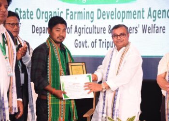 ork for underground cable in Agartala city likely from October: Minister