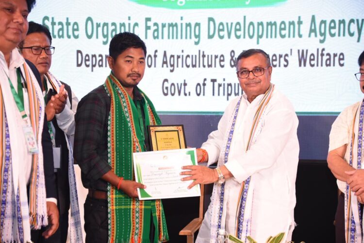 ork for underground cable in Agartala city likely from October: Minister