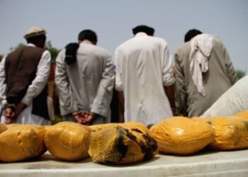 Afghan police foil drug, arms smuggling in multiple provinces