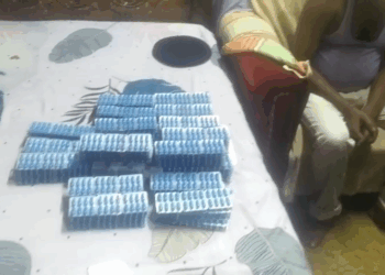 Huge Cache of Narcotics Seized from Udaipur Youth’s House, Police Crack Down on Illegal Trade