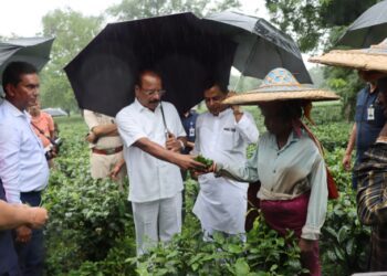 Governor Indra Sena Reddy Visits Brahmakunda Tea Estate and Factory in Simna